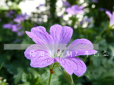 信用卡逾期7年已立案