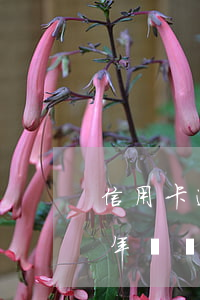 信用卡逾期7年怎樣處理最好辦法 信用卡7年沒還了是不是過了刑事訴訟