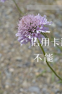 信用卡逾期7次怎么貸款(信用卡逾期7次能不能貸款買房)