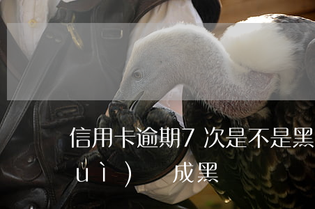 信用卡逾期7次是不是黑戶(多次逾期會(huì)變成黑戶嗎)