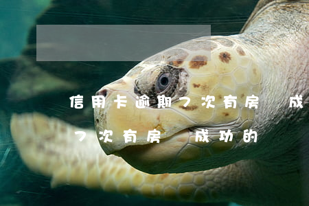 信用卡逾期7次有房貸成功的嗎(信用卡逾期7次有房貸成功的嗎)
