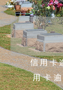 信用卡逾期7次貸款通不通過(guò)(信用卡逾期三次可以貸款嗎)
