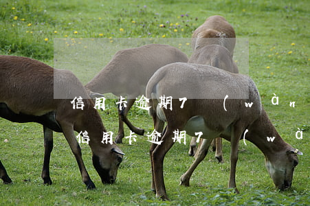 信用卡逾期7萬(wàn)利息怎么算-欠信用卡逾期7萬(wàn)無(wú)力償還