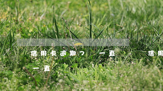 信用卡逾期7萬一直沒錢還(信用卡逾期7萬一直沒錢還)