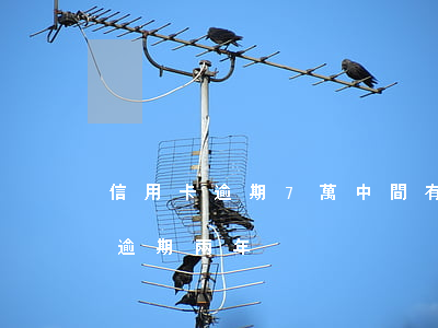 信用卡逾期7萬中間有還過(我信用卡欠8萬逾期兩年)
