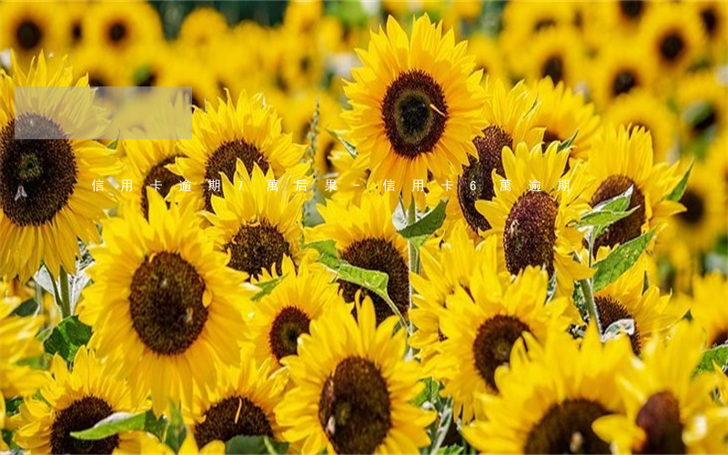 信用卡逾期7萬后果-信用卡6萬逾期