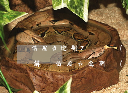 信用卡逾期7萬確實(shí)沒錢還怎么解決(信用卡逾期嚴(yán)重沒錢還怎么辦)
