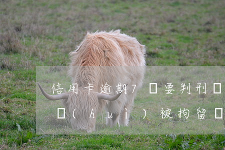 信用卡逾期7萬要判刑嗎(信用卡逾期七千多會(huì)被拘留嗎)