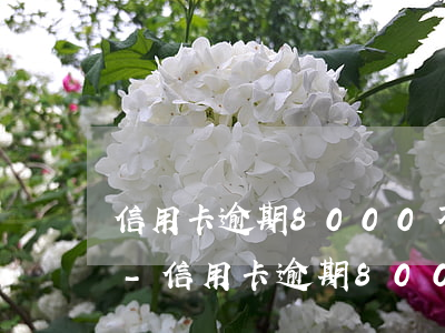 信用卡逾期8000不接電話(huà)嗎-信用卡逾期8000不接電話(huà)嗎會(huì)怎么樣