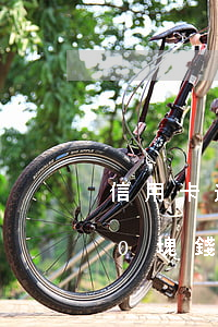 信用卡逾期8000元半年了(信用卡8000塊錢逾期三個月)