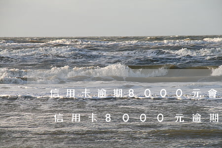 信用卡逾期8000元會(huì)判刑嗎(信用卡8000元逾期2年)