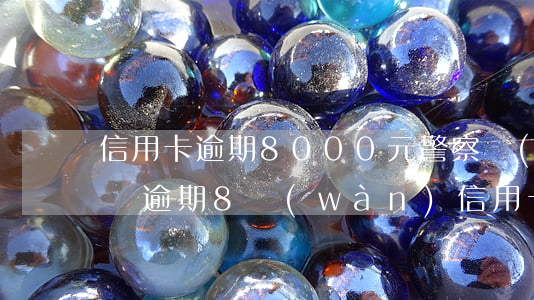 信用卡逾期8000元警察會(huì)抓嗎(逾期8萬(wàn)信用卡報(bào)案公安局會(huì)拘留嗎)