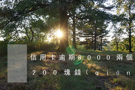 信用卡逾期8000兩個(gè)月(信用卡200塊錢(qián)逾期一個(gè)月)