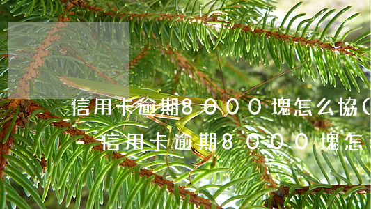 信用卡逾期8000塊怎么協(xié)商-信用卡逾期8000塊怎么協(xié)商還款