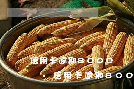 信用卡逾期8000塊會(huì)被起訴嗎-信用卡逾期8000塊會(huì)被起訴嗎知乎