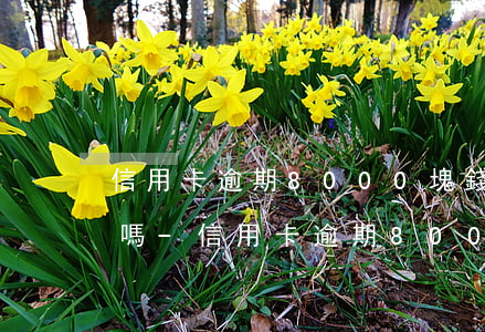 信用卡逾期8000塊錢嚴(yán)重嘛嗎-信用卡逾期8000塊錢嚴(yán)重嘛嗎知乎