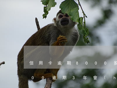 信用卡逾期8000多能起訴嗎(信用卡8000逾期3年會(huì)怎么樣)