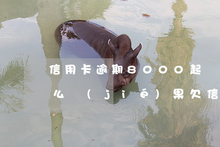 信用卡逾期8000起訴會(huì)有什么結(jié)果(欠信用卡8000被起訴了)