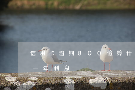 信用卡逾期800億算什么(8萬信用卡逾期一年利息)