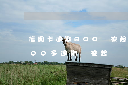 信用卡逾期800會被起訴嗎-信用卡8000多逾期會被起訴嗎