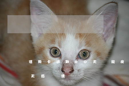 信用卡逾期80天還能房貸(房貸逾期180天后還清)