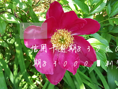 信用卡逾期83000會判多久-信用卡逾期83000會判多久呢