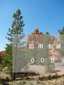 信用卡逾期8500一天利息多少(信用卡8000元逾期一天是多少)