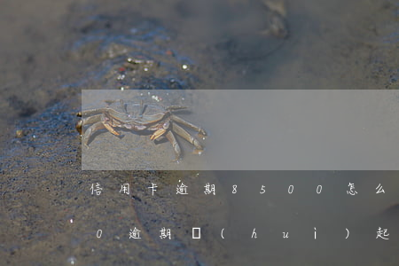 信用卡逾期8500怎么辦-信用卡8000逾期會(huì)起訴嗎