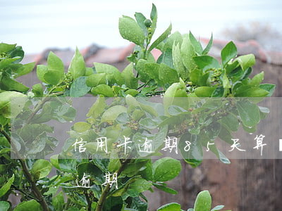 信用卡逾期85天算幾次(信用卡過多少天算逾期)