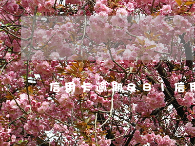 信用卡逾期881(信用卡逾期幾天會上征信嗎)