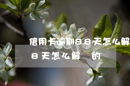 信用卡逾期88天怎么解決-信用卡逾期88天怎么解決的