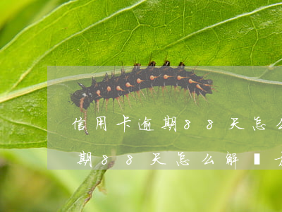 信用卡逾期88天怎么解決方案-信用卡逾期88天怎么解決方案呢