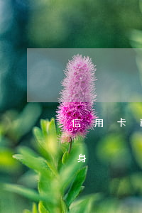 信用卡逾期8万还不上(欠信用卡八万怎么翻身)