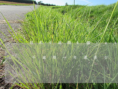 信用卡逾期8個(gè)月信用度 信用卡8千逾期一年還多少