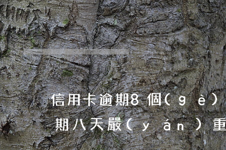 信用卡逾期8個(gè)月會怎樣(信用卡逾期八天嚴(yán)重嗎)