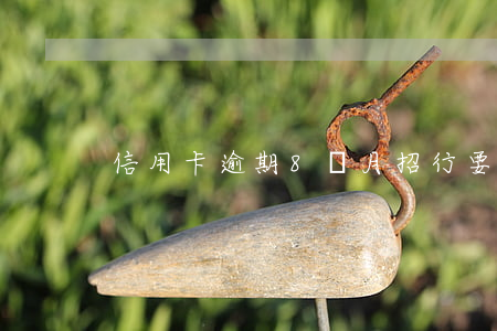 信用卡逾期8個月招行要我(招行信用卡 逾期)