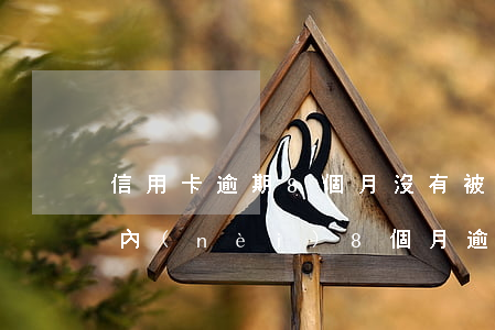 信用卡逾期8個月沒有被起訴-信用卡5年內(nèi)8個月逾期