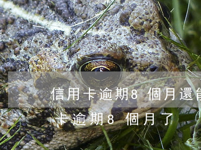 信用卡逾期8個月還能找工作嗎-6張信用卡逾期8個月了
