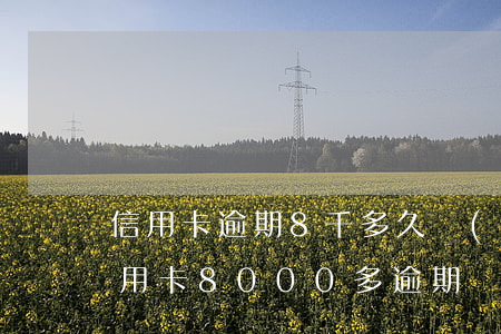 信用卡逾期8千多久會(huì)被起訴(信用卡8000多逾期會(huì)被起訴嗎)