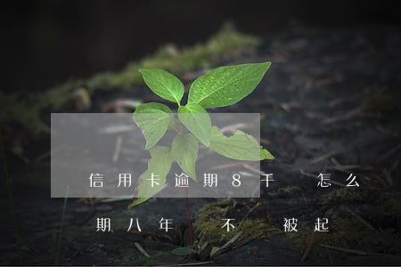 信用卡逾期8千會怎么樣-欠信用卡八千逾期八年會不會被起訴