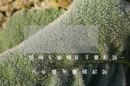 信用卡逾期8千會起訴-欠信用卡八千逾期八年會不會被起訴