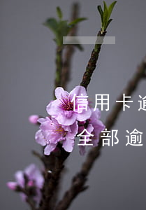 信用卡逾期8天上報失信行為-8張信用卡全部逾期