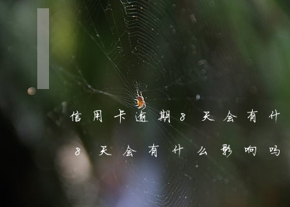 信用卡逾期8天会有什么影响吗(信用卡逾期8天会有什么影响吗)
