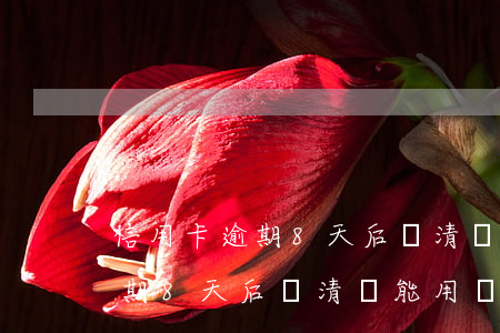 信用卡逾期8天后還清還能用嗎-信用卡逾期8天后還清還能用嗎