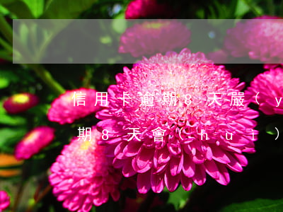 信用卡逾期8天嚴(yán)重嗎(信用卡逾期8天會(huì)上征信嗎)