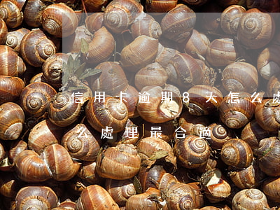 信用卡逾期8天怎么處理(信用卡逾期8天怎么處理最合適)