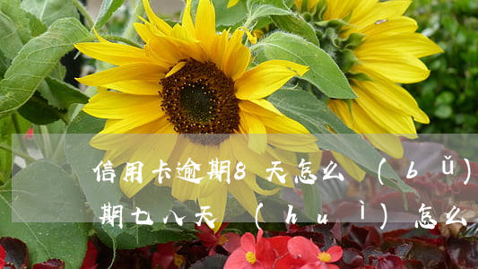 信用卡逾期8天怎么補(bǔ)救(信用卡逾期七八天會(huì)怎么樣)