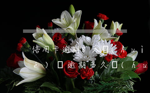 信用卡逾期8天會(huì)被凍結(jié)嗎(逾期多久會(huì)凍結(jié)信用卡)
