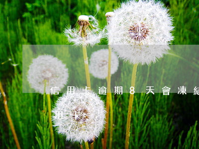 信用卡逾期8天會凍結嗎(逾期多久會凍結信用卡)
