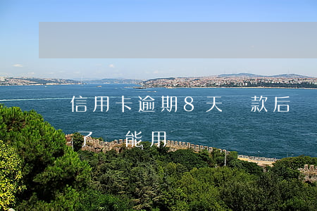 信用卡逾期8天還款后還(信用卡逾期8天還了還能用嗎)